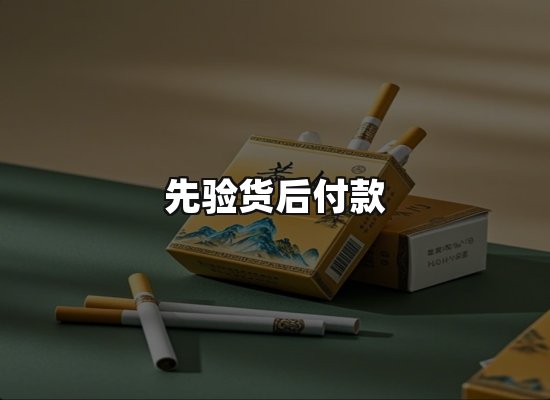 专业优势